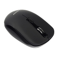 Мышь беспроводная Smartbuy 345AG ONE классическая USB черный (1/40)