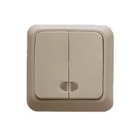 Выключатель Прогресс Fit 2-клав.10A ABS + Керамика с индикатором бежевый (1/10/200)