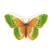 Ночник Camelion NL-239 "Бабочка" 1LED 0.5W 220V в розетку зеленый (1/18/72)