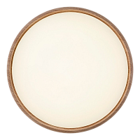 Светильник настенно-потолочный Camelion LBS-7738 80W 230V LED IP20 500мм с пультом (1/10)