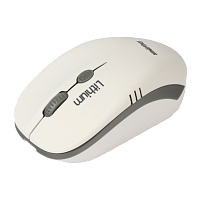Мышь беспроводная Smartbuy 344CAG ONE классическая USB с зарядкой от USB белый серый (1/40)