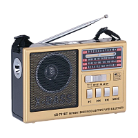 Радиоприемник Waxiba XB-701ВТ пластик microSD USB/Jack3.5 золотой (1/40)