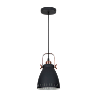 Светильник потолочный Camelion PL-428S-1 New York 40W 230V E27 подвес черный медный (1/12)