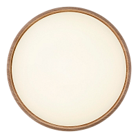 Светильник настенно-потолочный Camelion LBS-7738 80W 230V LED IP20 500мм с пультом (1/10)