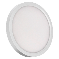 Светильник настенно-потолочный Космос SLIM WHITE 24W 230V (1/20)