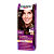 Краска для волос Schwarzkopf Palette 110мл W2 Темный шоколад (1/10)