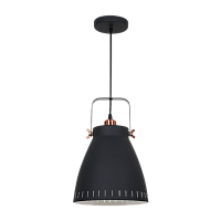 Светильник потолочный Camelion PL-428L New York 60W 230V E27 подвес черный медный (1/6)