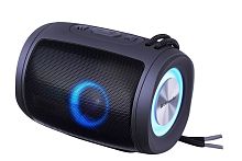 Портативная колонка Defender S200 Enjoy bluetooth 5.3 FM черный (1/30)