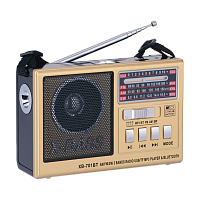 Радиоприемник Waxiba XB-701ВТ пластик microSD USB/Jack3.5 золотой (1/40)