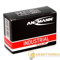 Батарейка ANSMANN Industrial Alkaline LR6 в коробке 10 шт