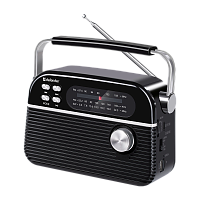 Радиоприемник Defender Vega 5W пластик microSD bluetooth 5.3 черный (1/9)