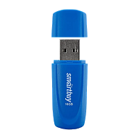 Флеш-накопитель Smartbuy Scout 16GB USB2.0 пластик синий