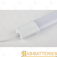 Светильник линейный ЭРА SPP-3-40-6K-M-L 36W 170-260V SMD IP65 белый (1/10)