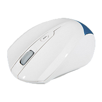 Мышь беспроводная Smartbuy 356AG классическая USB белый голубой (1/40)