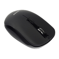 Мышь беспроводная Smartbuy 345AG ONE классическая USB черный (1/40) 