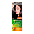 Краска для волос GARNIER Color Naturals 110мл 3.12 Ледяной Темный Шатен (1/12)