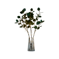 Гирлянда Космос Ветви эвкалипта имитация 32LED 62см 6ч таймер 3 шт. белый теплый (1/18)