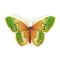 Ночник Camelion NL-239 "Бабочка" 1LED 0.5W 220V в розетку зеленый (1/18/72)