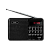 Радиоприемник Perfeo PALM 3W пластик microSD USB/Jack3.5 черный (1/10)