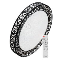Светильник настенно-потолочный Космос Loft-B Premium 120W 230V LED накладной пульт ДУ черный (1/5)