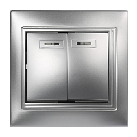 Выключатель Smartbuy 2-клавишный с индикатором 10А серебро, "Венера"