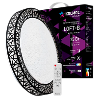 Светильник настенно-потолочный Космос Loft-B Premium 75W 230V LED накладной пульт ДУ черный (1/5)