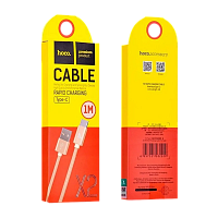 Кабель HOCO X2 USB (m)-Type-C (m) 1м 2.1A нейлон золотой (1/30/300)