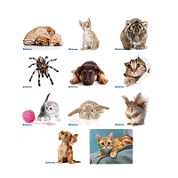 Коврик для мыши Defender Silk 230x190x1.6мм ассорти (1/20/200)