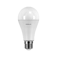 Лампа светодиодная Ergolux A65 E27 25W 4000К 180-240V груша ЛОН (1/10/100)