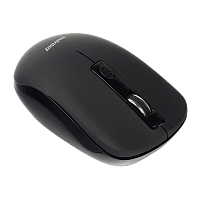 Мышь беспроводная Smartbuy 345AG ONE классическая USB черный (1/40)