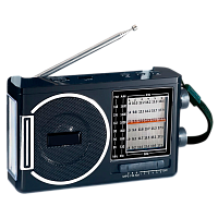 Радиоприемник DEESPI S1206 RE-12 пластик Jack3.5, Type-C AM/FM/SW/USB/AUX/MicroSD черный (1/40) 