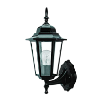 Светильник садово-парковый Camelion 4101 60W 230V E27 IP44 настенный черный (1/10)