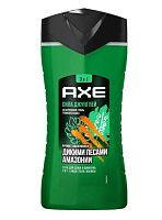 Гель для душа мужской AXE Сила Джунглей 2 в 1 250мл (1/6)