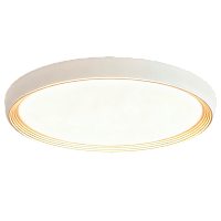 Светильник потолочный Camelion LBS-8002 56W LED смена цветовой температуры (1/10)