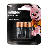 Батарейка Duracell Basic LR03 AAA BL4 Alkaline 1.5V CN (Китай) (4/48)