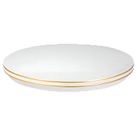 Светильник настенно-потолочный Космос SKY Gold Classic 48W 230V 6500К (1/10)