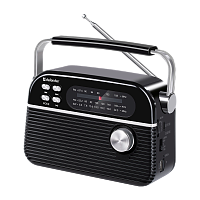 Радиоприемник Defender Vega 5W пластик microSD bluetooth 5.3 черный (1/9)