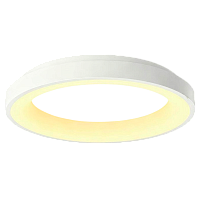 Светильник настенно-потолочный Camelion LBS-7741 48W LED смена цветовой температуры пульт ДУ (1/10)