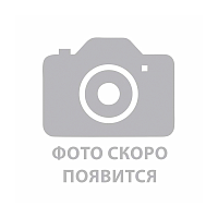 Водоотталкивающая пропитка CHIST 300мл (1/24)
