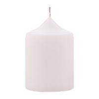 Свечи интерьерные Волшебная страна Deco 1шт. белый (1/19)