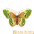 Ночник Camelion NL-239 "Бабочка" 1LED 0.5W 220V в розетку зеленый (1/18/72)