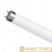 Лампа люминесцентная General Electric T8 G13 36W 6500К 220V трубка матовая