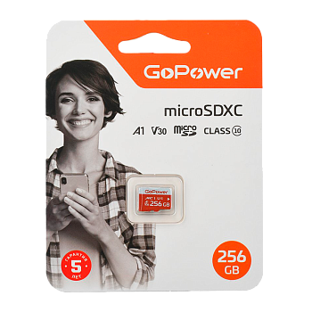 Карта памяти microSD GoPower 256GB Class10 UHS-I (U3) 100 МБ/сек V30 без адаптера