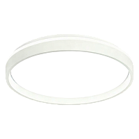 Светильник настенно-потолочный Camelion LBS-8001 70W LED (1/5)