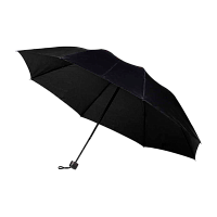Зонт Рыжий кот BASIC складной механический черный (1/10)