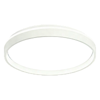 Светильник настенно-потолочный Camelion LBS-8001 70W LED (1/5)