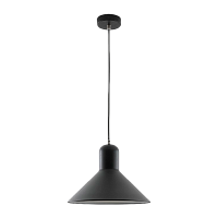 Светильник потолочный Camelion PL-602L Rome 40W 230V E27 подвес черный