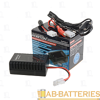 Зарядное устройство ROBITON SmartHobby 8 Ni-Cd и Ni-MH акк. собрки из 2-8 элементов, 1А / 2А