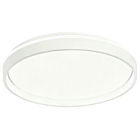 Светильник настенно-потолочный Camelion LBS-7742 48W LED смена цветовой температуры пульт ДУ (1/10)