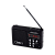 Радиоприемник Perfeo SV922 SOUND RANGER 3W пластик microSD USB/Jack3.5 черный